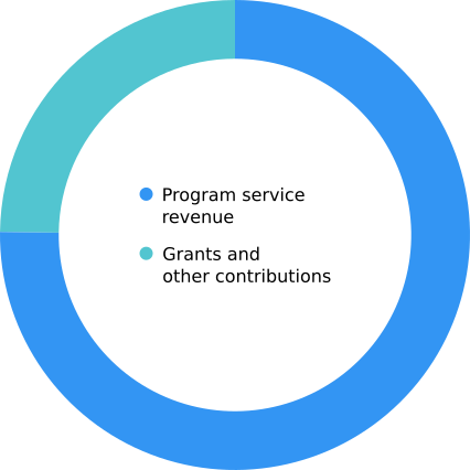 about/financials-chart-2022-revenue.png