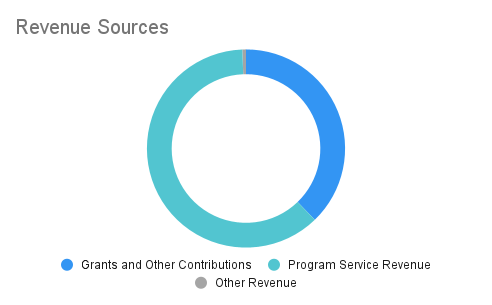 about/financials-chart-2024-revenue.png